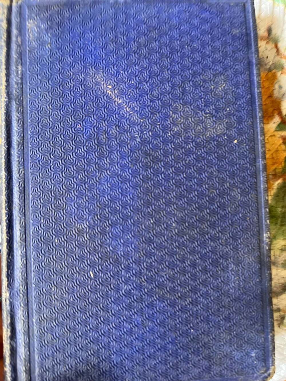 The Hope of the Katzekops Hardcover Book The Catholic Publication Society 1869